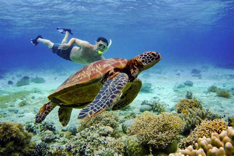 Top 13 Things To Do In Cebu With Kids .